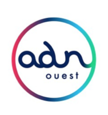 Logo ADN